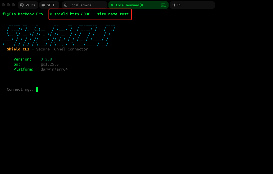 使用 --site-name 参数启动隧道